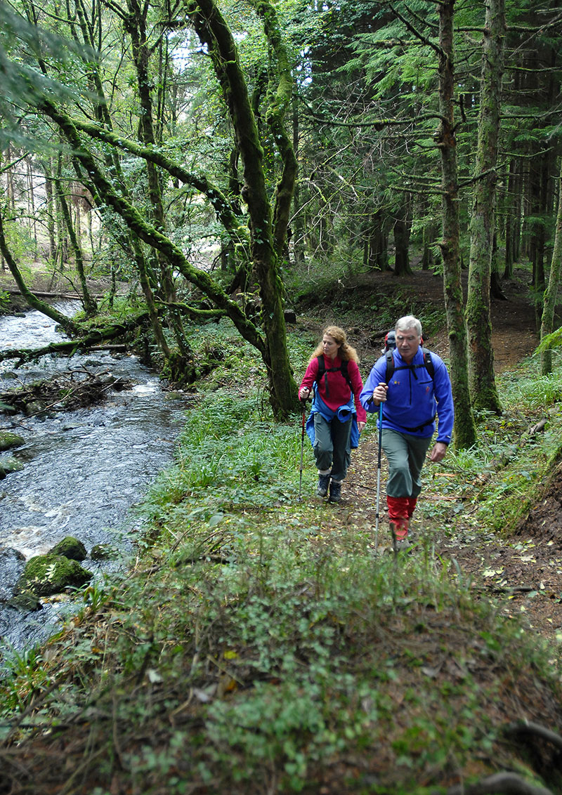 Canon-Sheehan-loop-walk,-Co-Cork,-Co-Limerick800.jpg