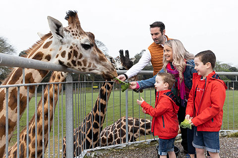 Fota-Wildlife-Park_web.jpg