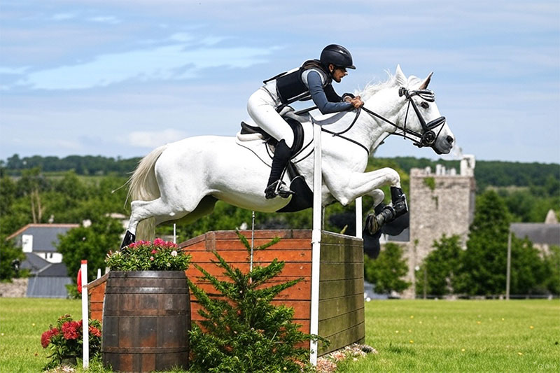 Horse-riding-depiction_800.jpg