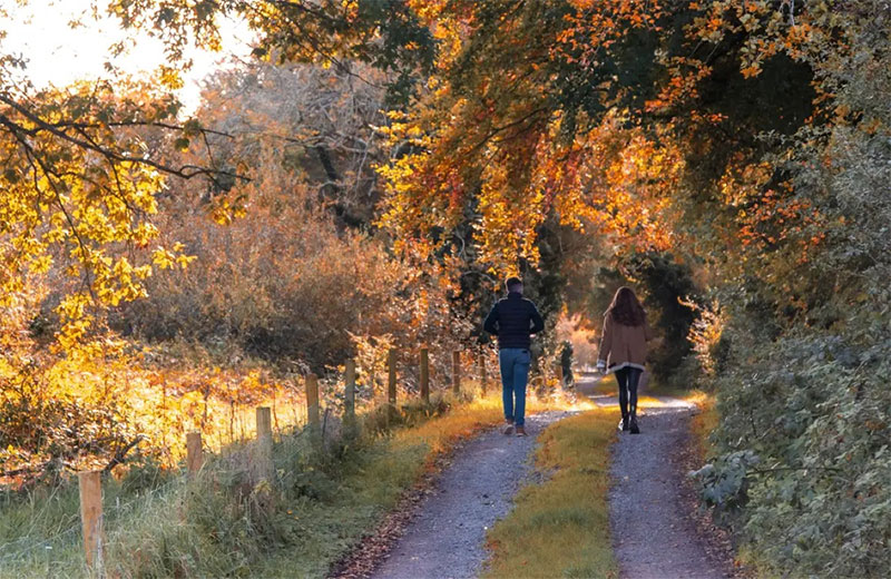 autumn_800.jpg