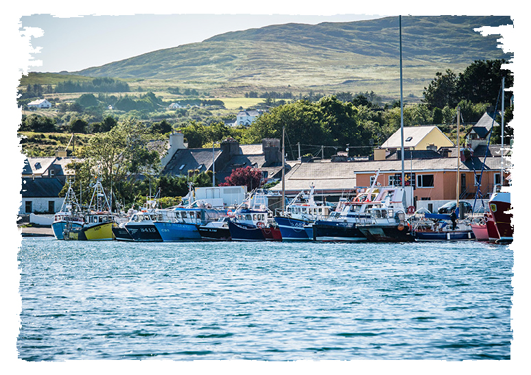 beara.jpg