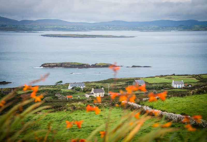 https://www.purecork.ie/media/cape-5.jpg