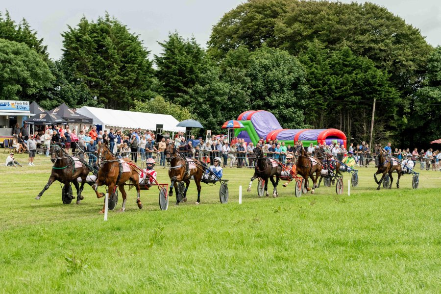 Lyre Racing Track Harness Racing - Lyre - Sun 14 Sep 2025 - 2:00 pm | PureCork.ie What's On