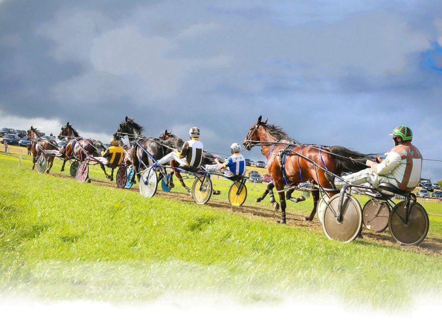 Lyre Racing Track Irish Harness Racing - Red John Memorial Weekend - Lyre Racetrack - Sat ...