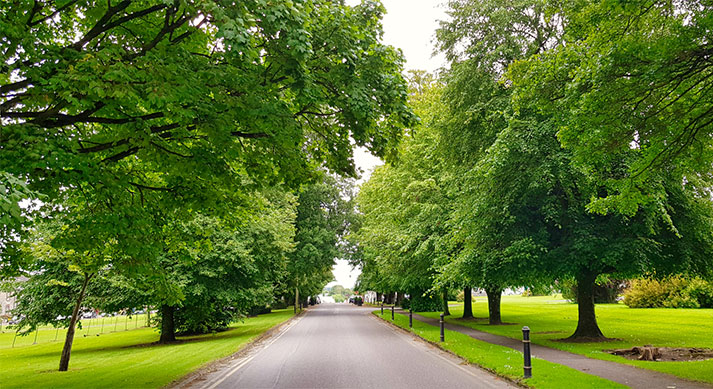 path_800.jpg