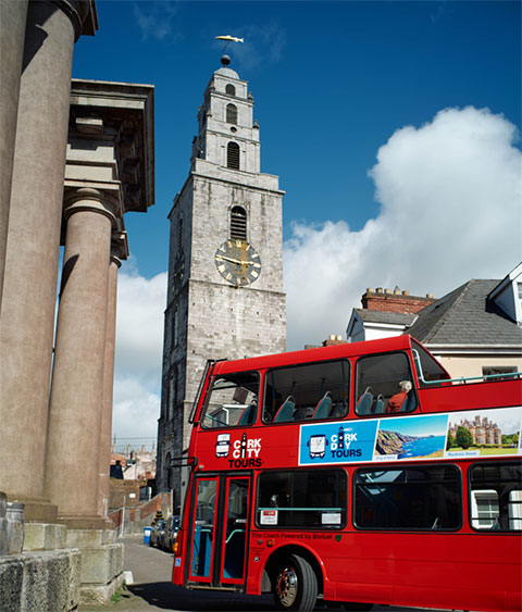 shandon_bus_480.jpg